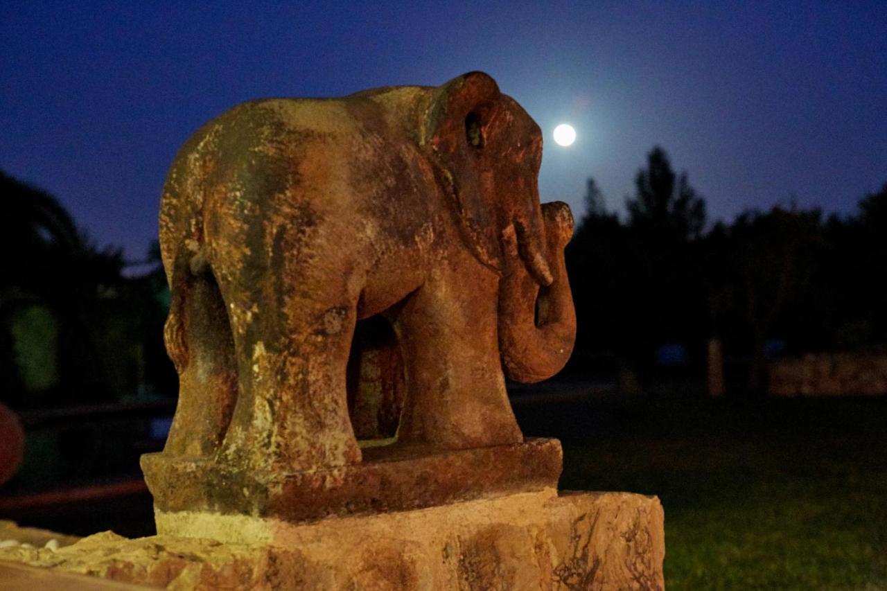 Finca La Salve Pollença Εξωτερικό φωτογραφία