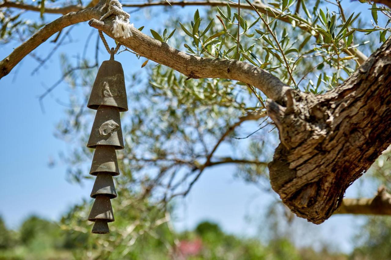 Finca La Salve Pollença Εξωτερικό φωτογραφία